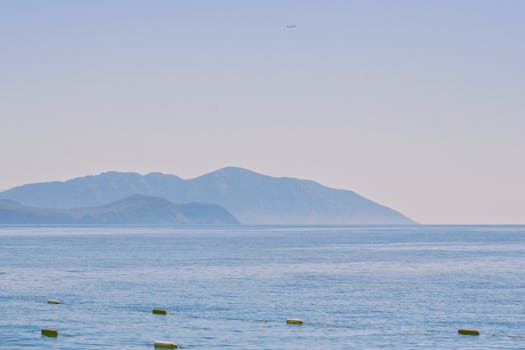 Navigating the Digital Classroom: Your Blueprint for Remote Learning Mastery