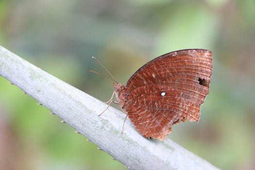 Beyond the Boardwalk: Selecting Deck Materials That Actually Last