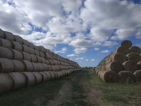 Beyond the Local Drive: Architecting Your Video Assets in the Cloud